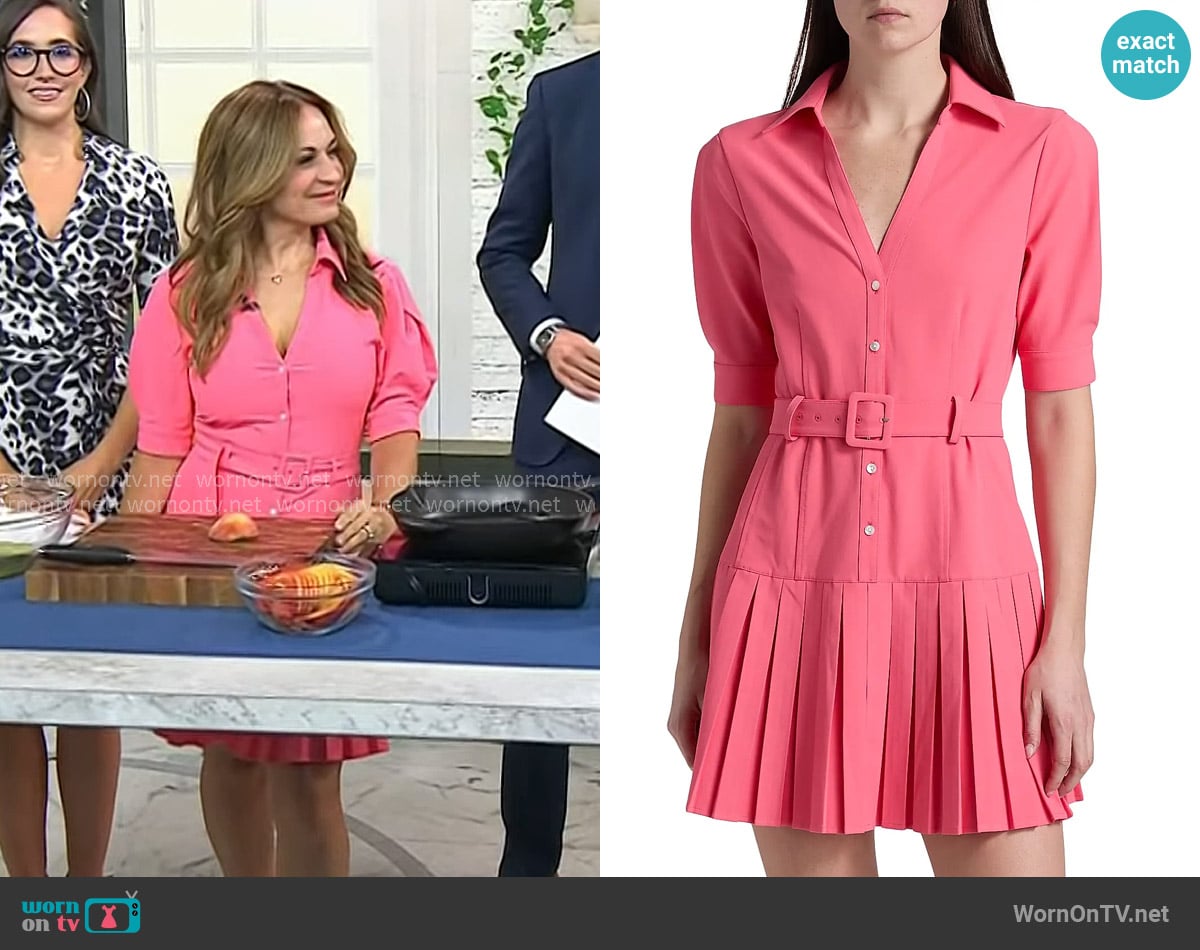 Anna Francese Gass’s pink belted mini shirtdress on Today