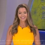 Dani's orange belted pleated dress on Good Morning America