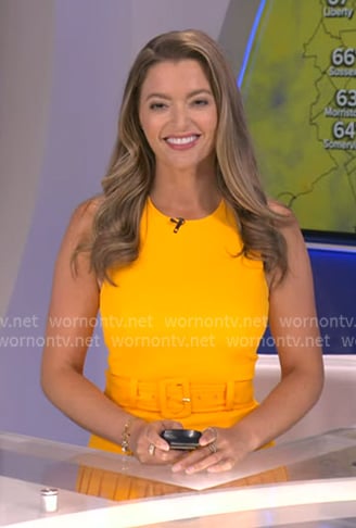 Dani’s orange belted pleated dress on Good Morning America