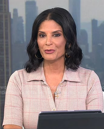 Darlene’s pink plaid polo dress on Today