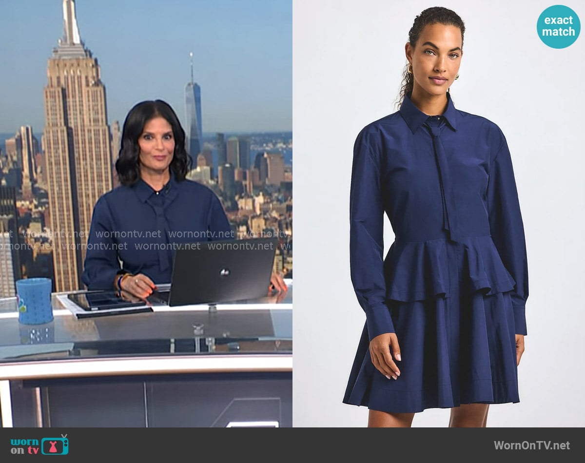 Derek Lam 10 Crosby Azure Ruffled Mini-Shirtdress worn by Darlene Rodriguez on Today