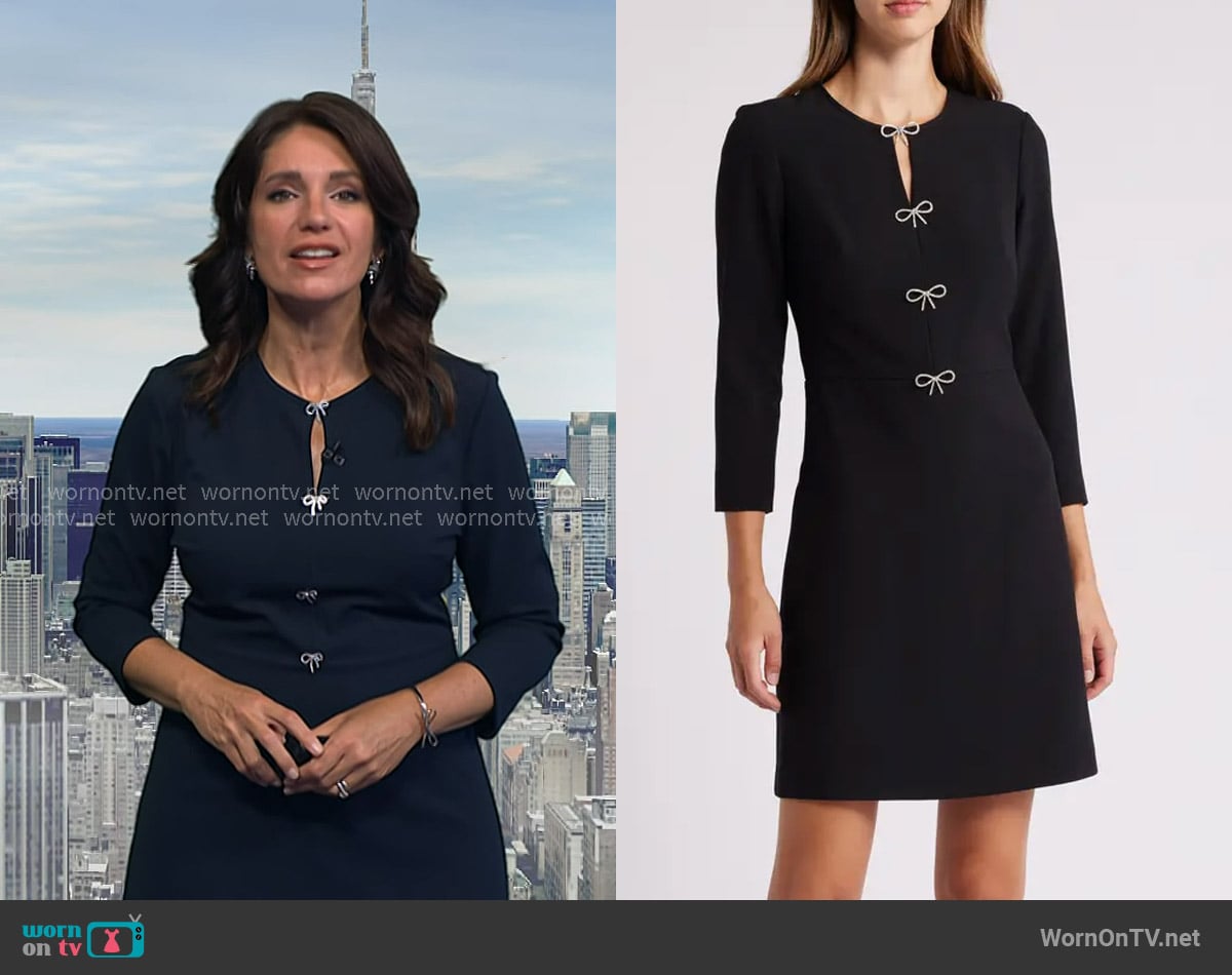 Eliza J Bow Embellished A-Line Dress worn by Maria Larosa on Today