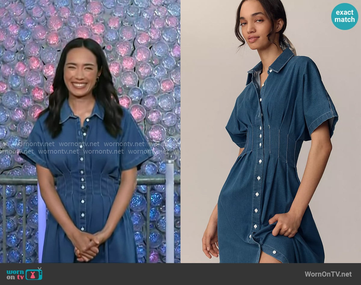 Exquise The Tobie Denim Shirt Dress worn by Emilie Ikeda on Today