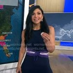 Gaby Dellan's navy striped waist dress on NBC News Daily