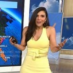 Gaby Dellan’s yellow halter dress on NBC News Daily