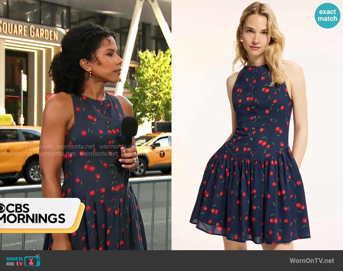 Hutch Roma Dress worn by Adriana Diaz on CBS Mornings