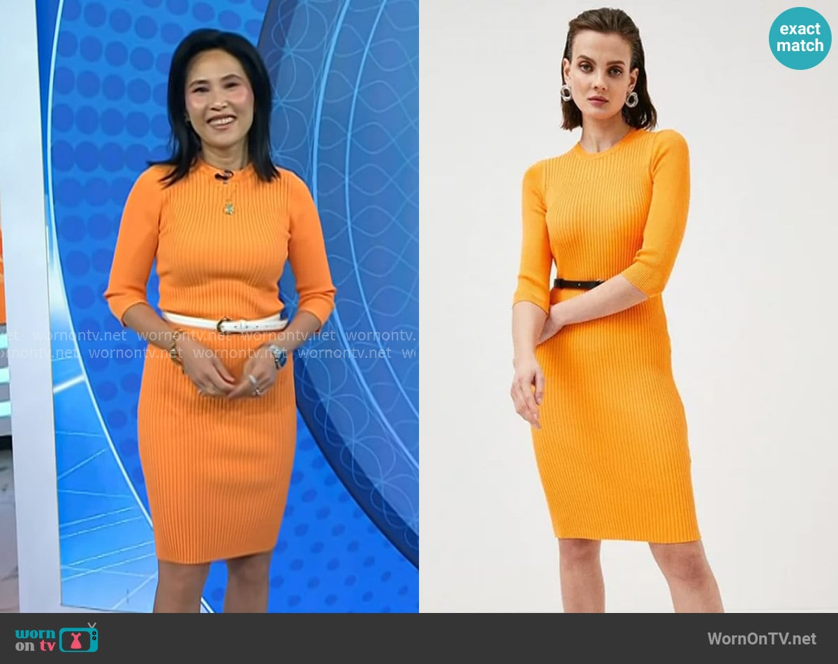 Karen Millen Karen Millen Rib Knit Pencil Dress worn by Vicky Nguyen on Today