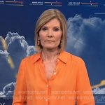 Kate's orange button down blouse on NBC News Daily