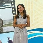 Kaylee’s striped sleeveless shirtdress on Today