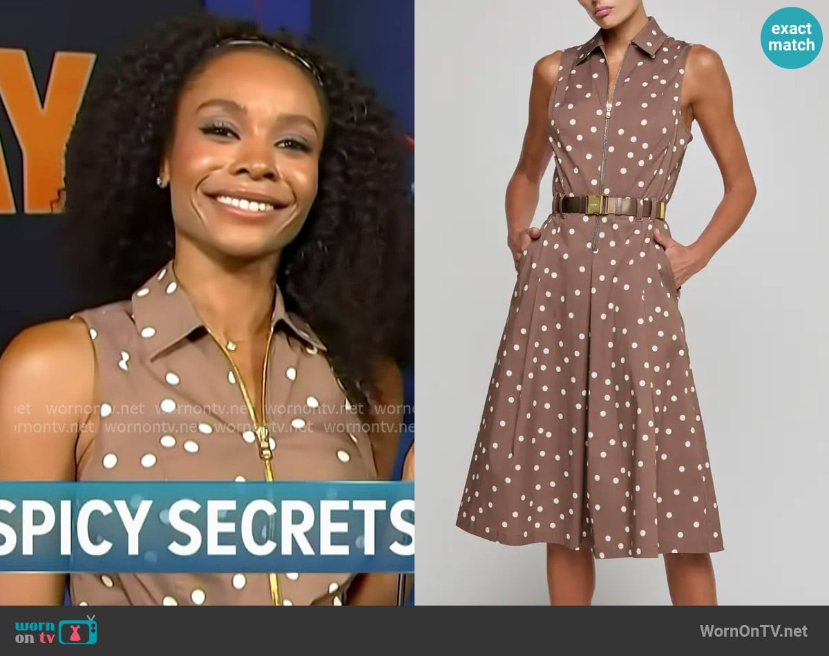 L'Agence Kylo Polka Dot Belted Shirtdress worn by Zuri Hall on Access Hollywood