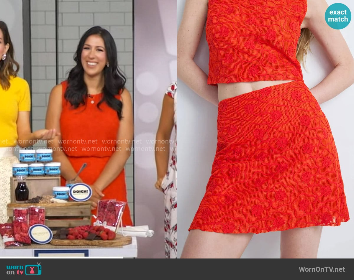 Laundry by Shelli Segal Embroidered Mini Skirt worn by Stefani Sassos on Good Morning America