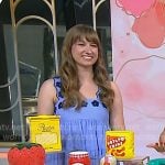 Lauren Phillips’s blue floral embroidered dress on Today