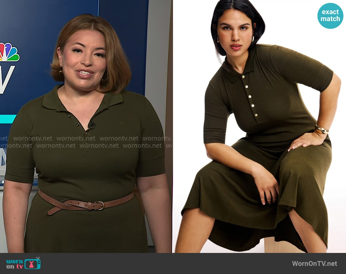 Lauren Ralph Lauren Lillianna Day Dress worn by Gilma Avalos on NBC News Daily