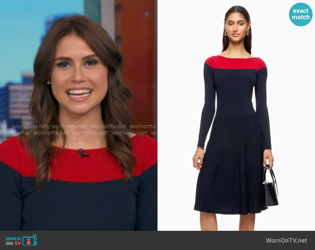LAUREN Ralph Lauren Patney Dress worn by Sophie Flay on Good Morning America