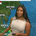 LLarisa Abreu's buckle waist sheath dress on NBC News Daily