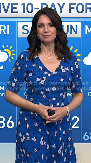 Maria’s blue floral v-neck dress on Today