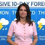 Maria’s pink button front dress on Today
