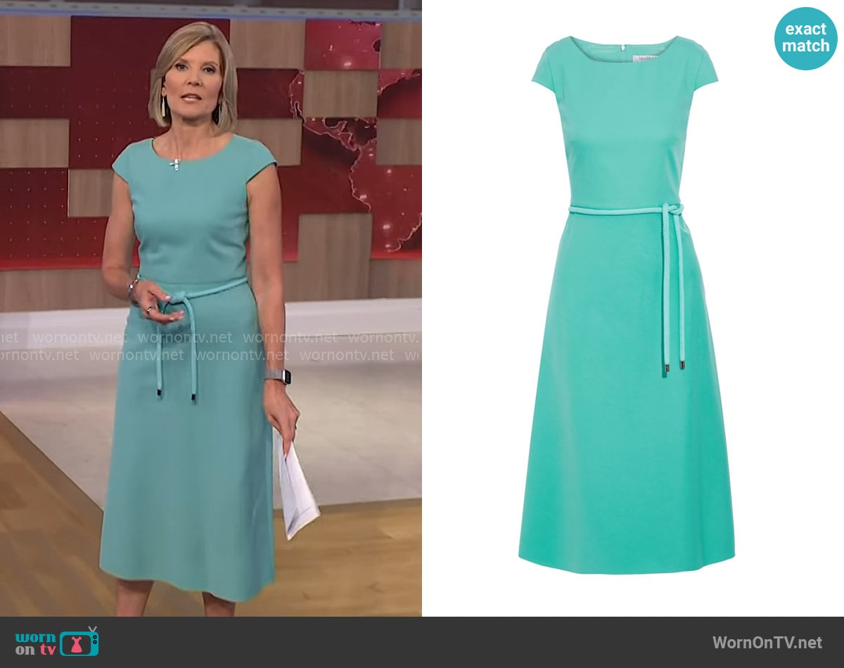 Max Mara Opunzia Belted Cotton-Cady Dress worn by Kate Snow on NBC News Daily