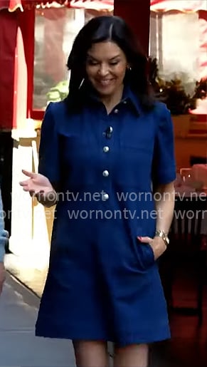 Meg Oliver’s denim mini dress on CBS Mornings