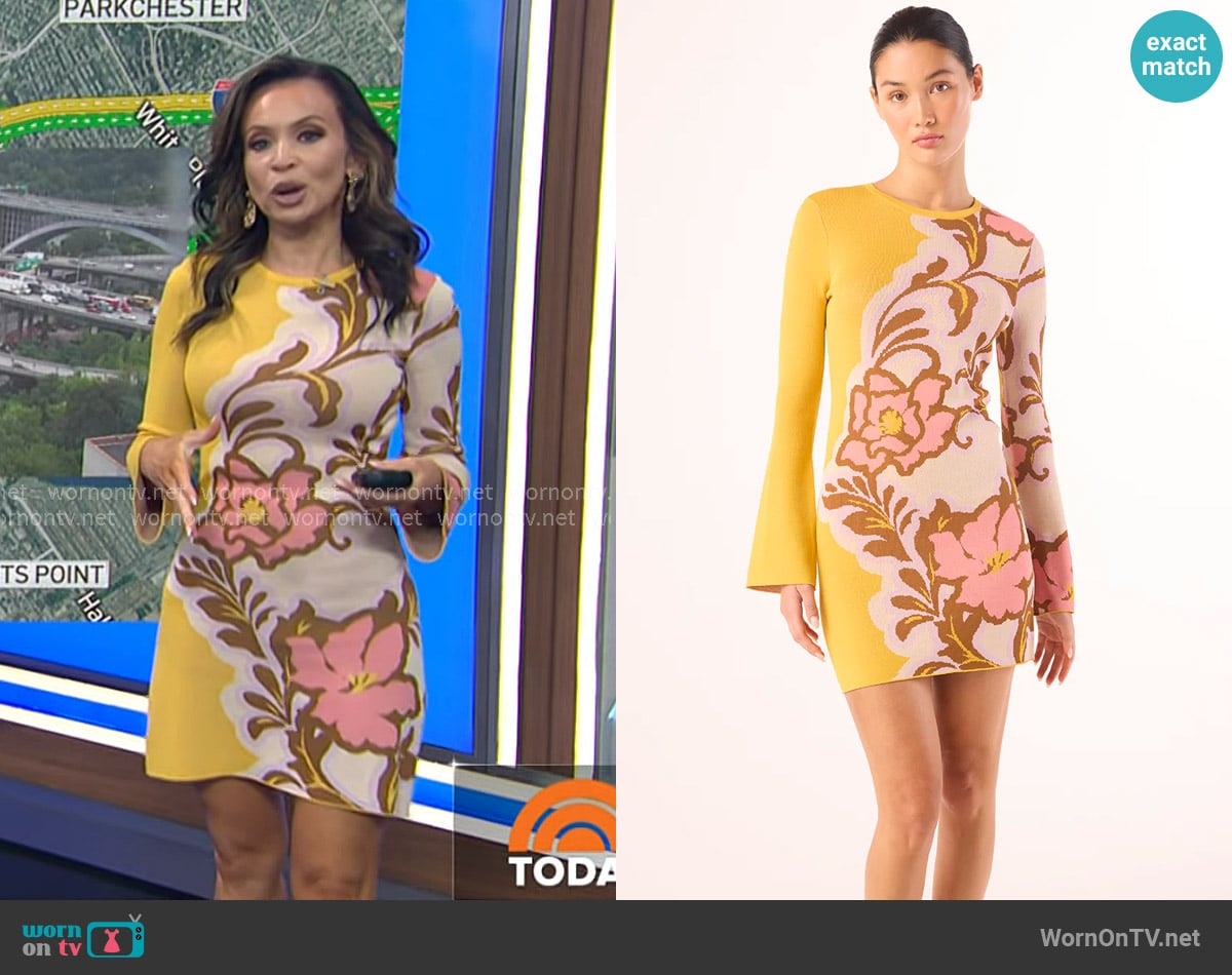 MISA Los Angeles Jayde Dress worn by Adelle Caballero on Today
