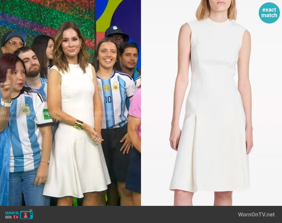 Proenza Schouler Kara Pleat-detail Dress worn by Rebecca Jarvis on Good Morning America