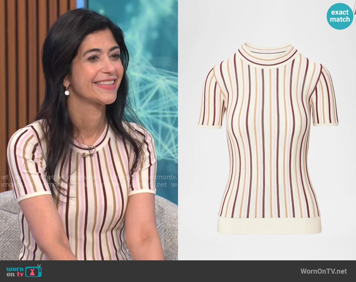 Rag & Bone Victoria Short-Sleeve Sweater in Pink Multi worn by Taraneh Shirazian on CBS Mornings