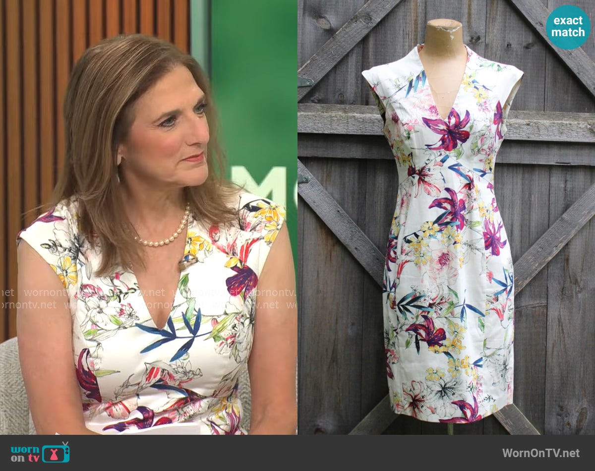 Reiss Onie Dress in Sugar worn by Jill Schlesinger on CBS Mornings