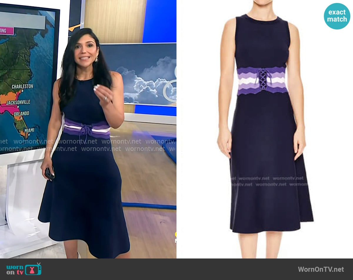 Sandro Kimiko Dress worn by Gaby Dellan on NBC News Daily