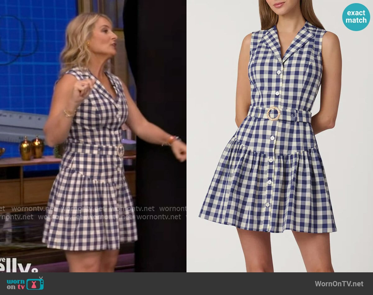Shoshanna Natalila Gingham Mini Shirtdress worn by Meaghan B Murphy on Live with Kelly and Mark
