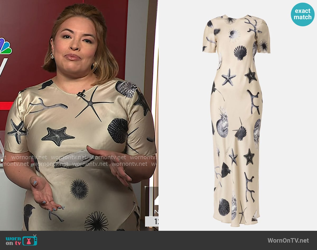 Silk Laundry Seashells Short Sleeve Bias Dress worn by Gilma Avalos on NBC News Daily