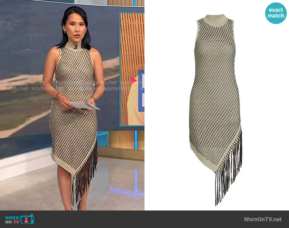 Simkhai Chelle Pointelle Asymmetrical Dress in Marsh Olive worn by Vicky Nguyen on NBC News Daily