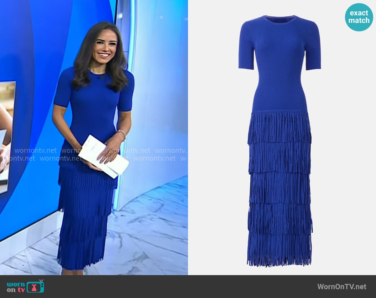 Simon Miller Zaza Dress worn by Kaylee Hartung on Today