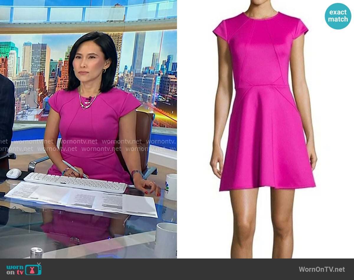 Ted Baker Eebrr Skater Dress worn by Vicky Nguyen on NBC News Daily