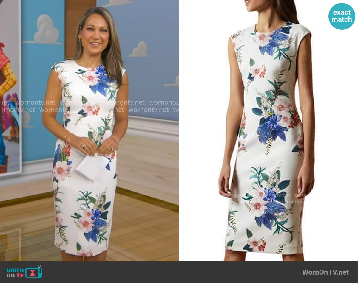 Ted Baker Sharley Jamboree Cap Sleeve Dress worn by Ginger Zee on Good Morning America