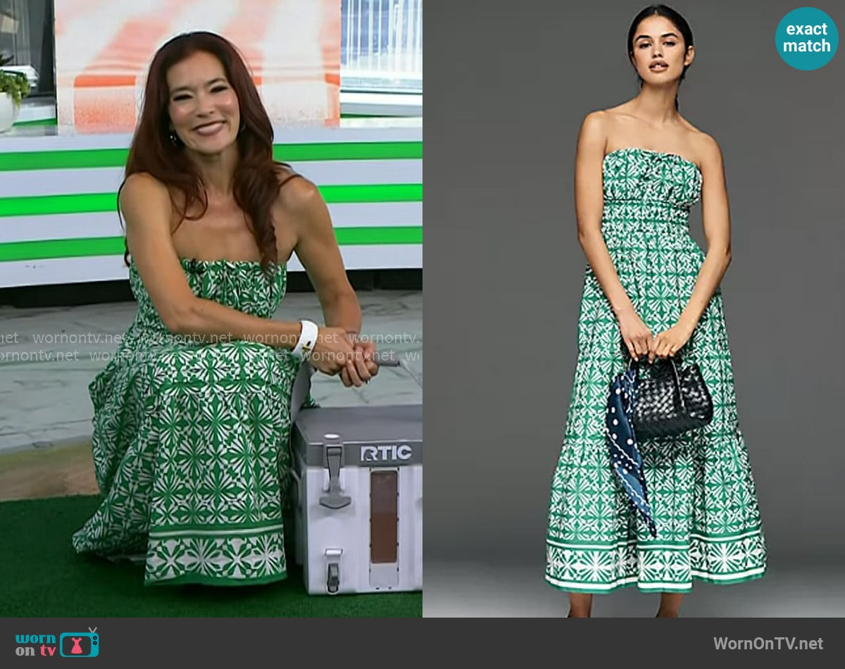 The Somerset Collection by Anthropologie Strapless Maxi Dress worn by Amy E. Goodman on Today