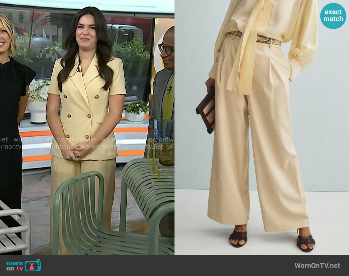 Toccin Pleated Wide Leg Trousers worn by Elena Besser on Today