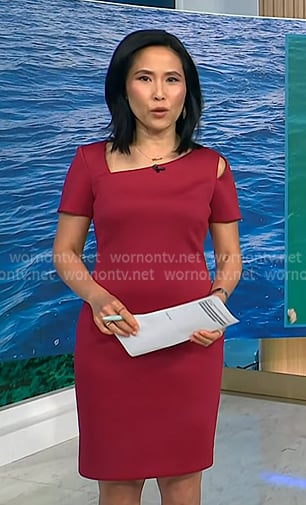 Vicky's red asymmetric neck sheath dress on NBC News Daily