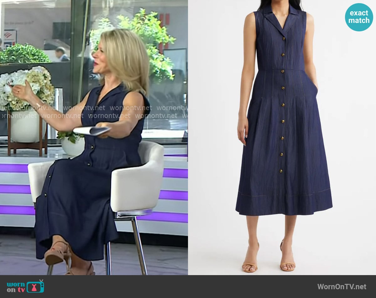 Janis Mackey Frayer’s denim dress on Today Janis Mackey Frayer’s denim dress on Today