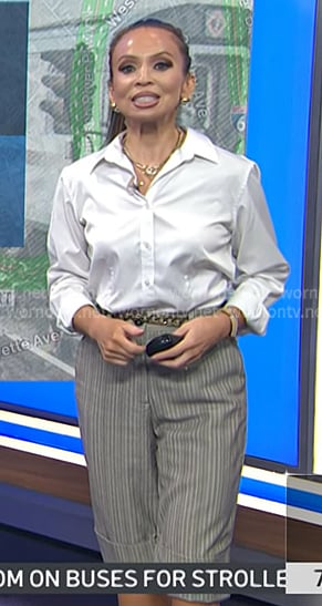 Adelle’s grey striped bermuda shorts on Today