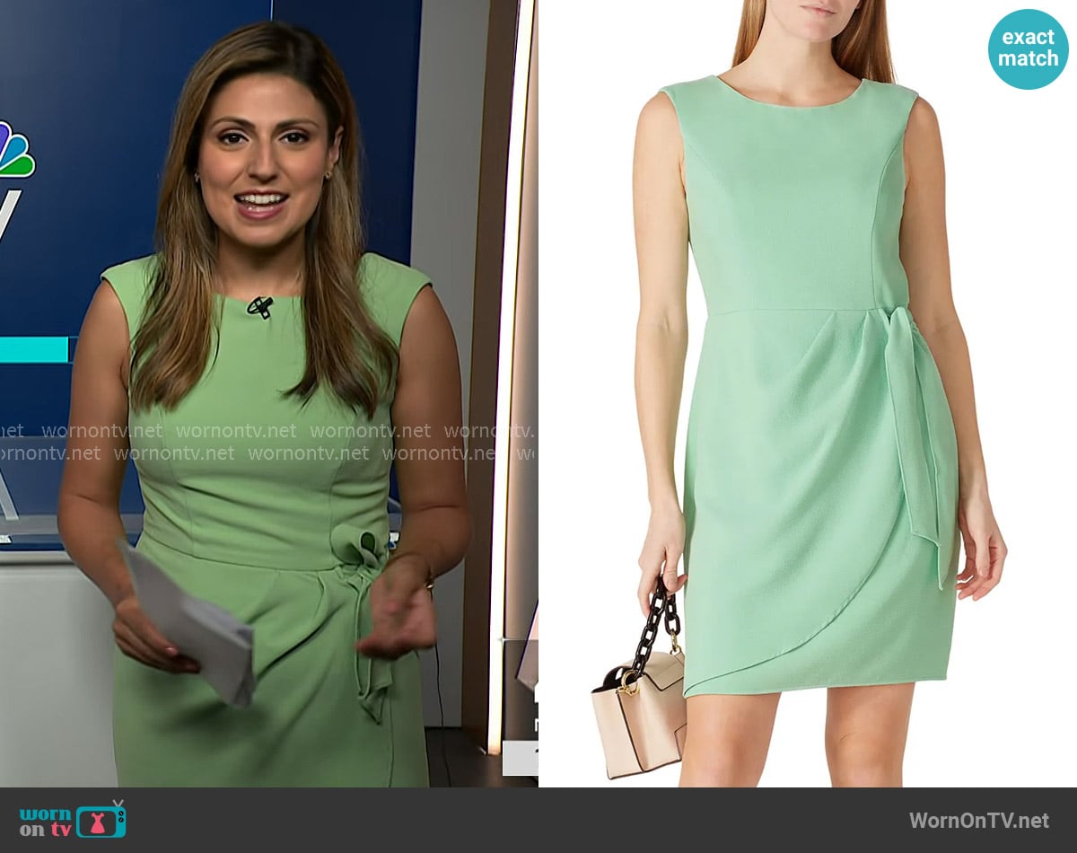 Rana Novini's Adrianna Papell dress Rana Novini's Adrianna Papell dress