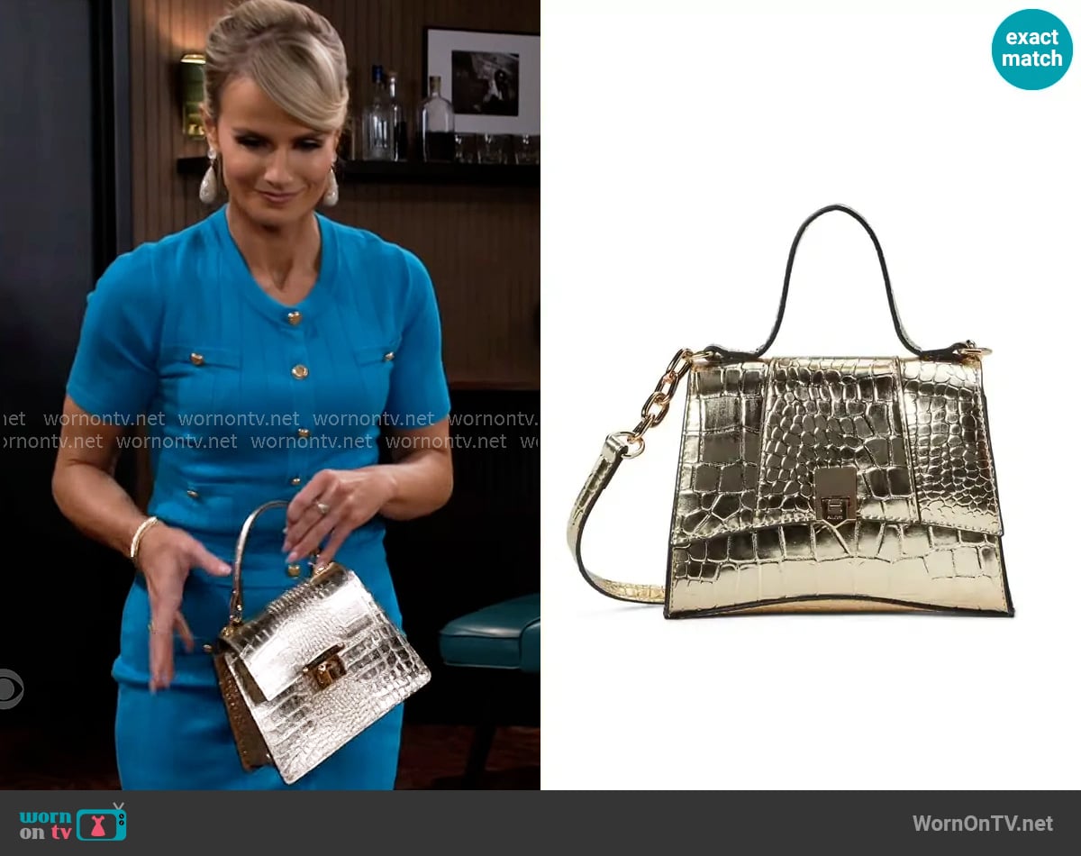 Vanessa's Aldo bag