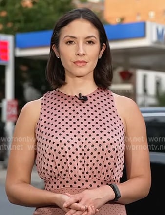 Ali Bauman's pink polka dot dress on CBS Evening News Ali Bauman's pink polka dot dress on CBS Evening News