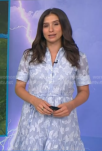 Angie Lassman’s blue striped floral shirtdress on NBC News Daily