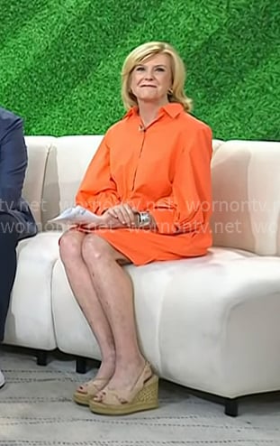 Anne's orange shirtdress on Today