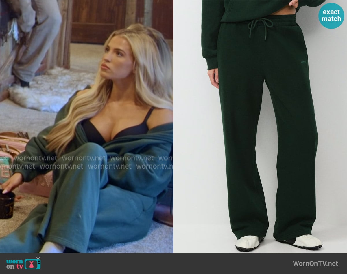 Allie's Aritzia pants Allie's Aritzia pants