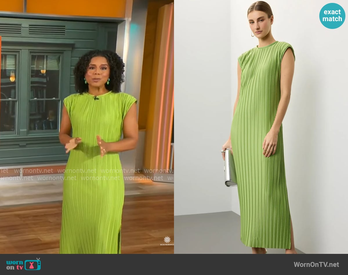 Adriana Diaz's Atlein Collective dress Adriana Diaz's Atlein Collective dress