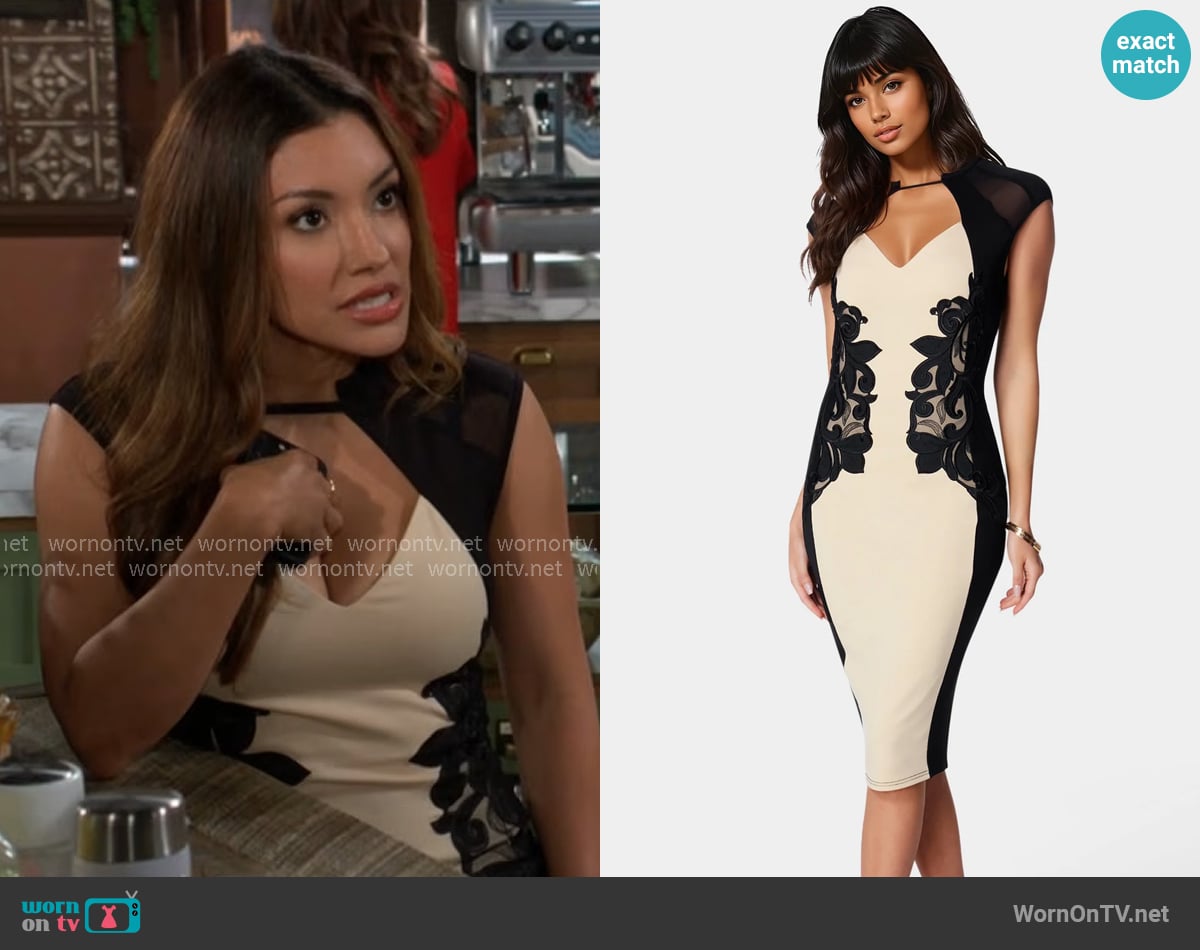 Audra's Bebe dress