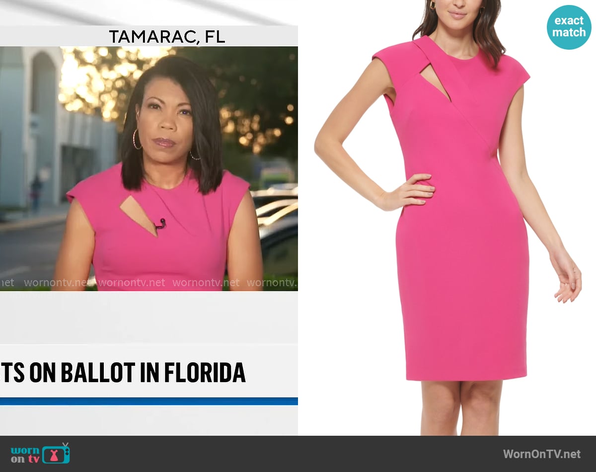 Nikole Killion's Calvin Klein dress Nikole Killion's Calvin Klein dress