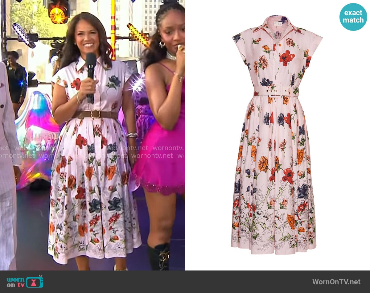 Laura's Cara Cara dress
