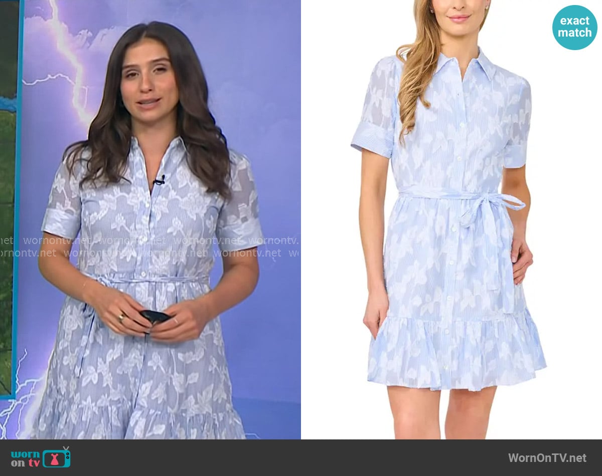 Angie Lassman's Cece dress Angie Lassman's Cece dress